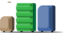 Valises et VTC à Orly